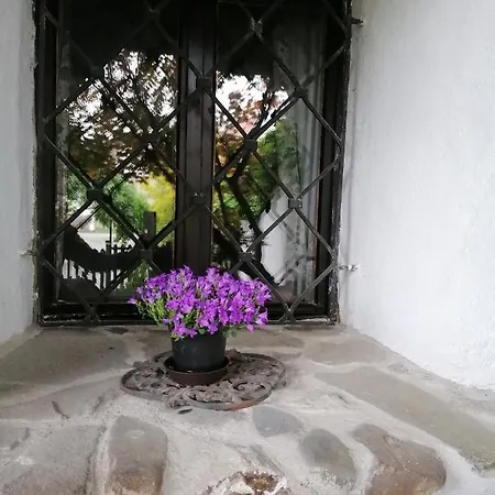 Gæstehus Olsakovsky Český Krumlov