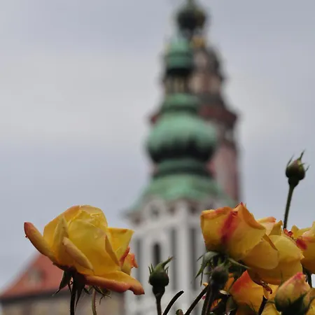 Olšakovský 3* Český Krumlov