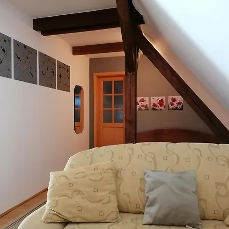 Olšakovský