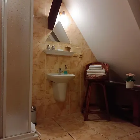 Olsakovsky Guest house *