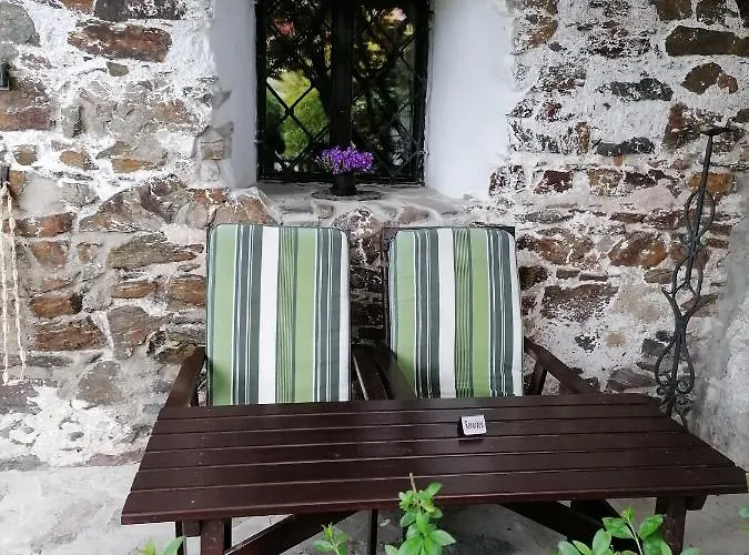 奥萨克弗斯基宾馆 3* Český Krumlov